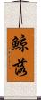 鯨落 Scroll
