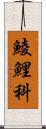 鯪鯉科 Scroll