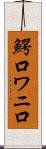 鰐口 Scroll