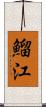 鰡江 Scroll