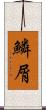鱗屑 Scroll