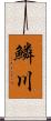 鱗川 Scroll