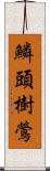 鱗頭樹鶯 Scroll