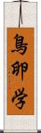 鳥卵学 Scroll