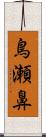 鳥瀬鼻 Scroll