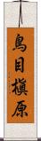 鳥目槇原 Scroll
