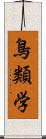 鳥類学 Scroll