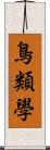 鳥類學 Scroll