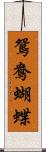 鴛鴦蝴蝶 Scroll