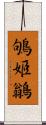 鴝姬鶲 Scroll