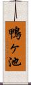 鴨ヶ池 Scroll
