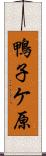 鴨子ケ原 Scroll