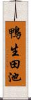 鴨生田池 Scroll
