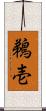 鵜壱 Scroll