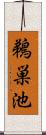 鵜巣池 Scroll
