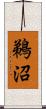 鵜沼 Scroll