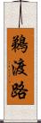 鵜渡路 Scroll