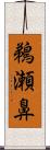 鵜瀬鼻 Scroll