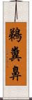 鵜糞鼻 Scroll