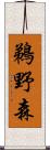 鵜野森 Scroll