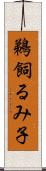 鵜飼るみ子 Scroll