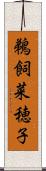 鵜飼菜穂子 Scroll