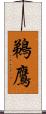 鵜鷹 Scroll