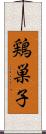 鶏巣子 Scroll