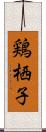 鶏栖子 Scroll