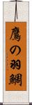 鷹の羽鯛 Scroll