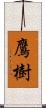 鷹樹 Scroll