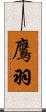 鷹羽 Scroll