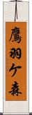 鷹羽ケ森 Scroll