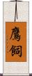 鷹飼 Scroll