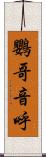 鸚哥 Scroll