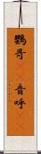 鸚哥(rK) Scroll