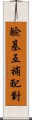 鹼基互補配對 Scroll