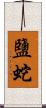 鹽蛇 Scroll