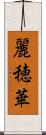 麗穂華 Scroll