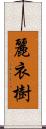 麗衣樹 Scroll