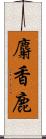 麝香鹿 Scroll