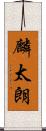 麟太朗 Scroll