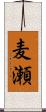 麦瀬 Scroll