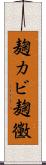 麹カビ Scroll