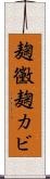 麹黴 Scroll