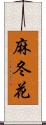 麻冬花 Scroll