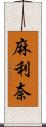 麻利奈 Scroll