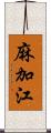 麻加江 Scroll