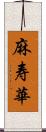 麻寿華 Scroll