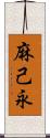 麻己永 Scroll